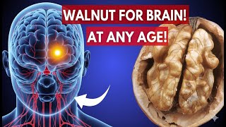 It S Incredible What A Single Walnut Can Do Proven Health Benefits Of
